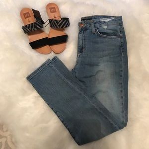 Joe's Jeans The Skinny Ankle