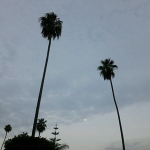 Meet your Posher, Ericka