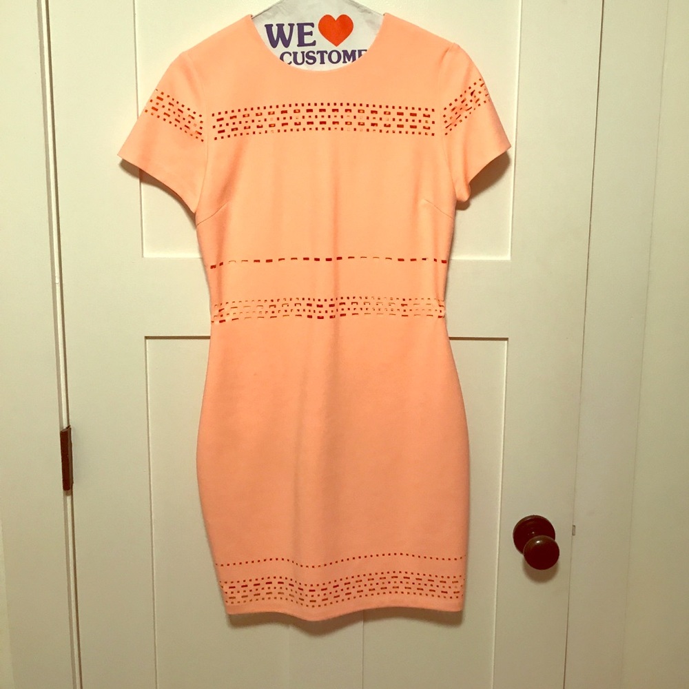 Elizabeth and James neon coral dress size 6