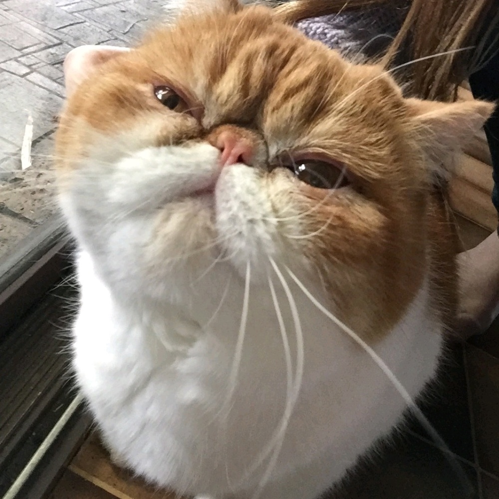 Meet your Posher, Kay