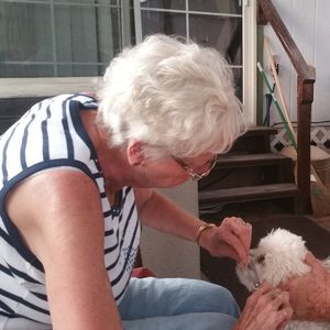 Meet your Posher, Fay