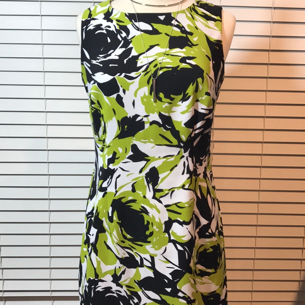 Ronnie Nicole Dress