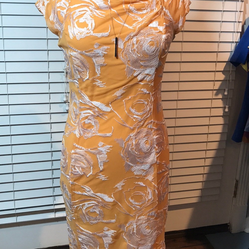 NY&C Eva Mendes Dress