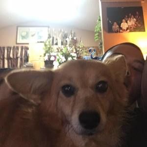 Meet your Posher, Cody