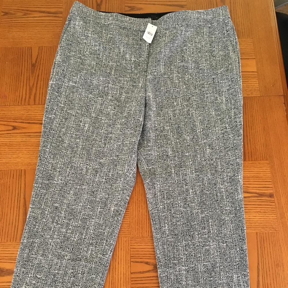 Ann Taylor Kate Fit Pants
