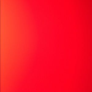 Meet your Posher, Savannah