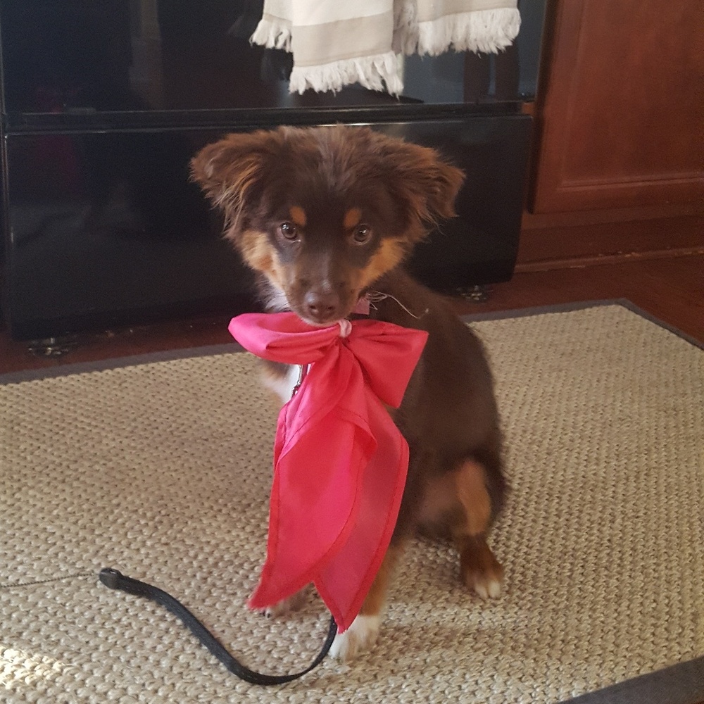 Bundle Your Items for a Private Offer-  ❤Sadie🐕