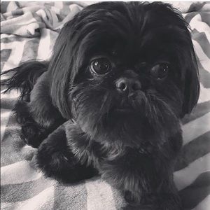 Meet your Posher, Isaac