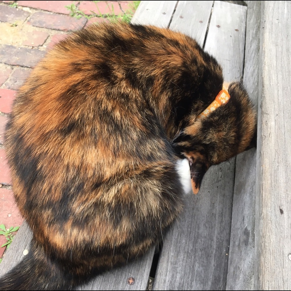 Meet your Posher, Karen