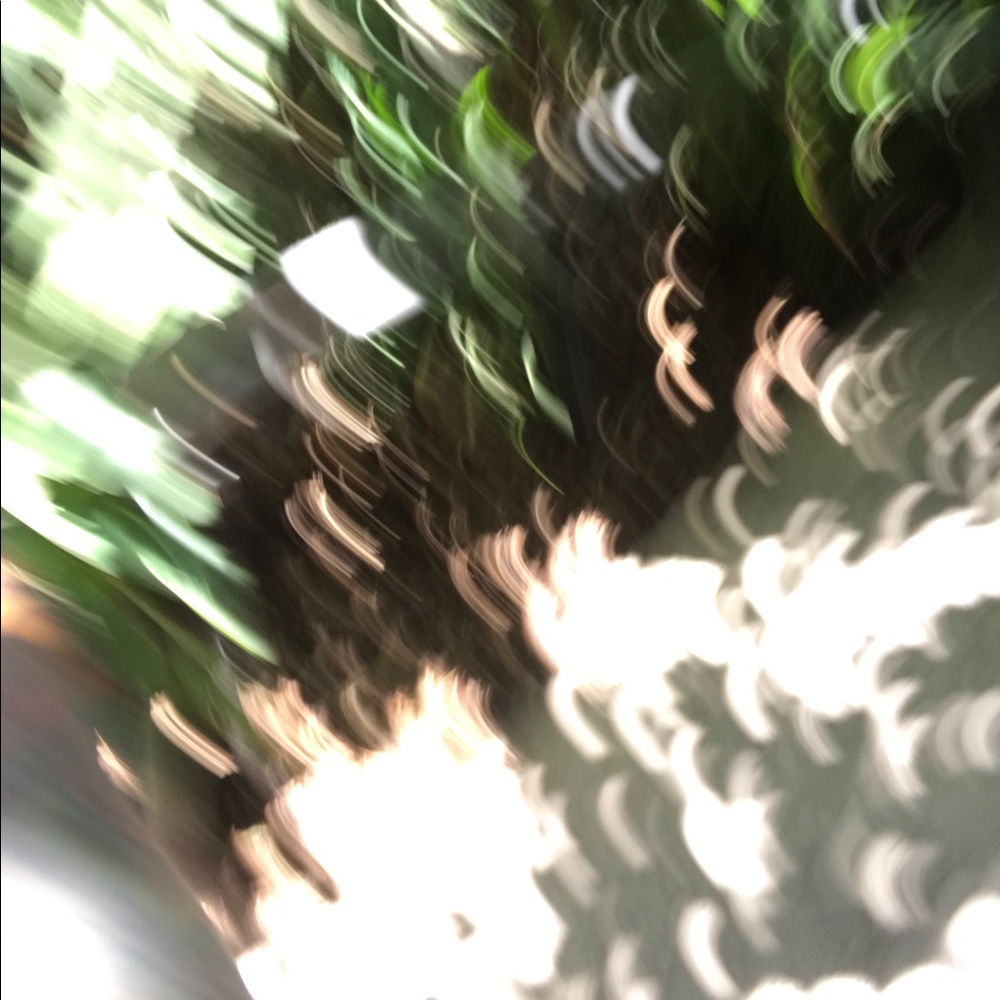 Meet your Posher, Meagan