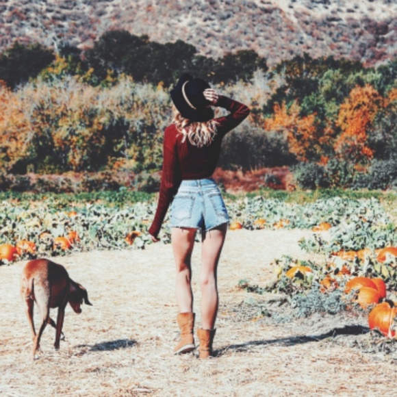 Cropped long sleeve sweater Burgundy - Picture 3 of 3