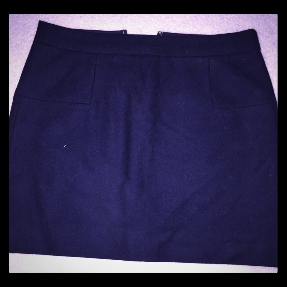 NWT J.Crew Skirt