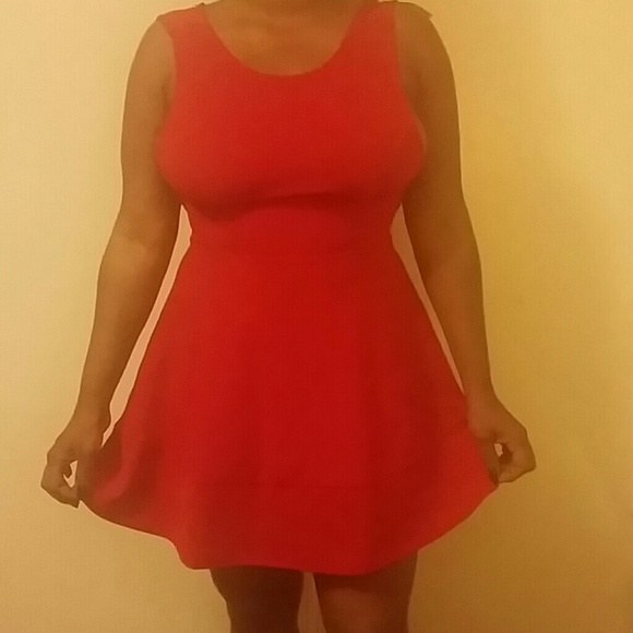 Little Red Dress - Picture 5 of 6
