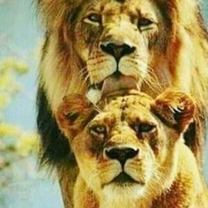 Meet your Posher, Destiney