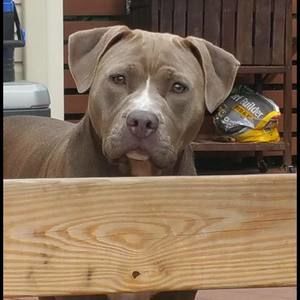 Meet your Posher, Becky