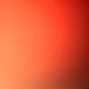 Meet your Posher, Evan