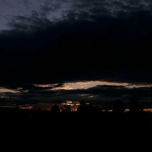 Meet your Posher, Mila