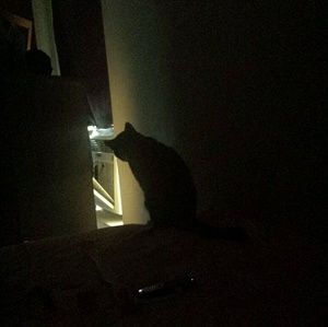 Meet your Posher, Mandy