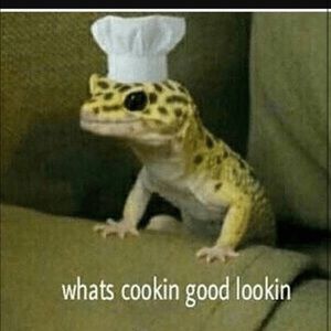 Meet your Posher, Ivan