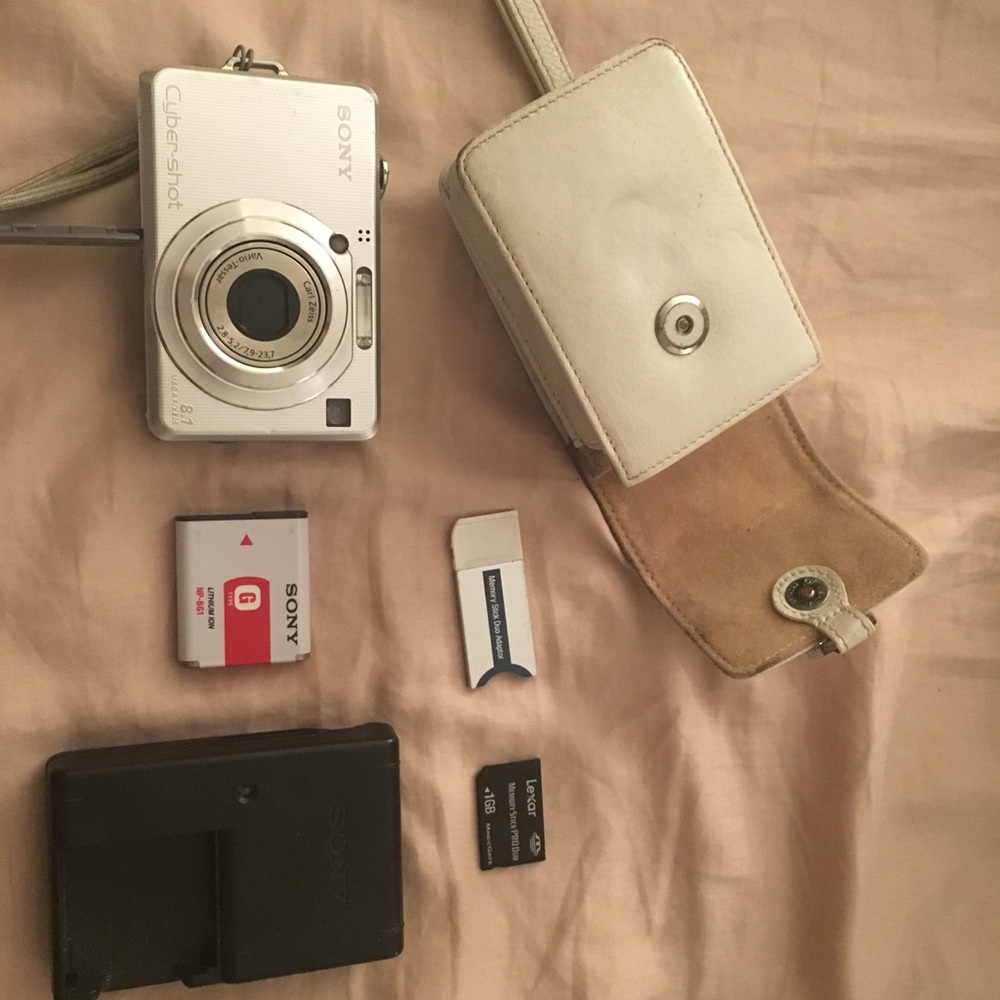 Sony DSC-W100 Digital Camera