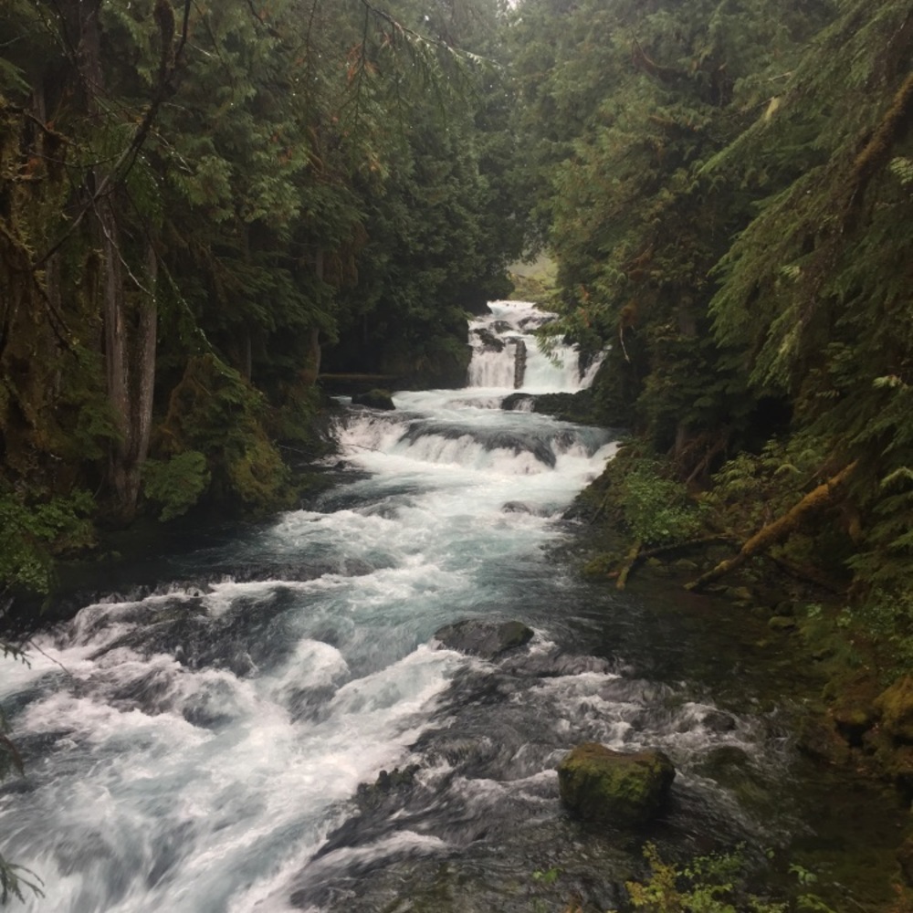 Meet your Posher, Mugato