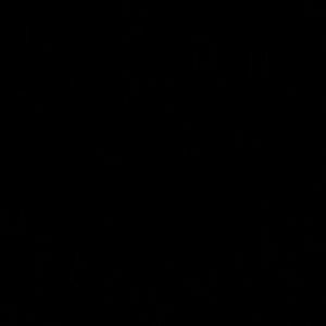 Meet your Posher, Maya