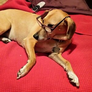 Meet your Posher, Marie