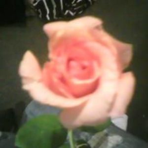 Meet your Posher, Brandy