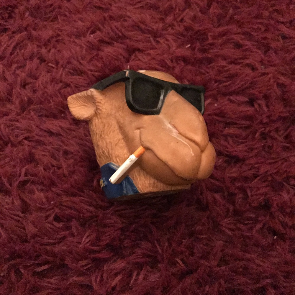 vintage camel smooth character