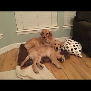 Meet your Posher, Janet