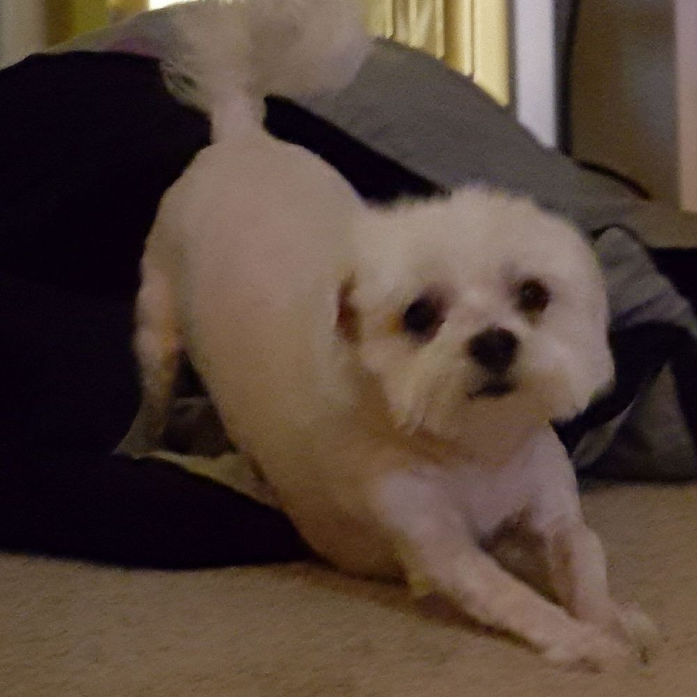 Meet your Posher, Linda