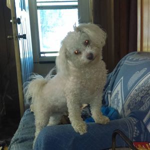 Meet your Posher, Rachel