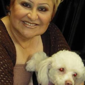 Meet your Posher, Stella