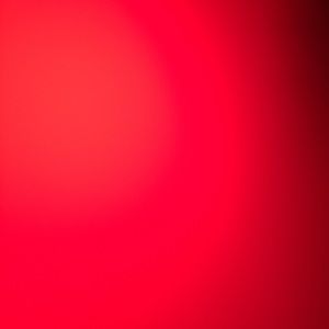 Meet your Posher, Noel