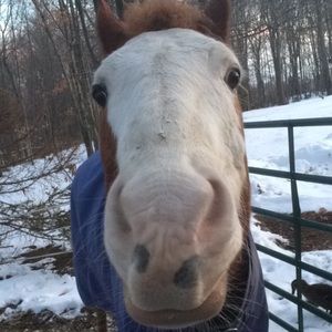 Meet your Posher, Tabitha