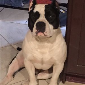 Meet your Posher, Jonathan