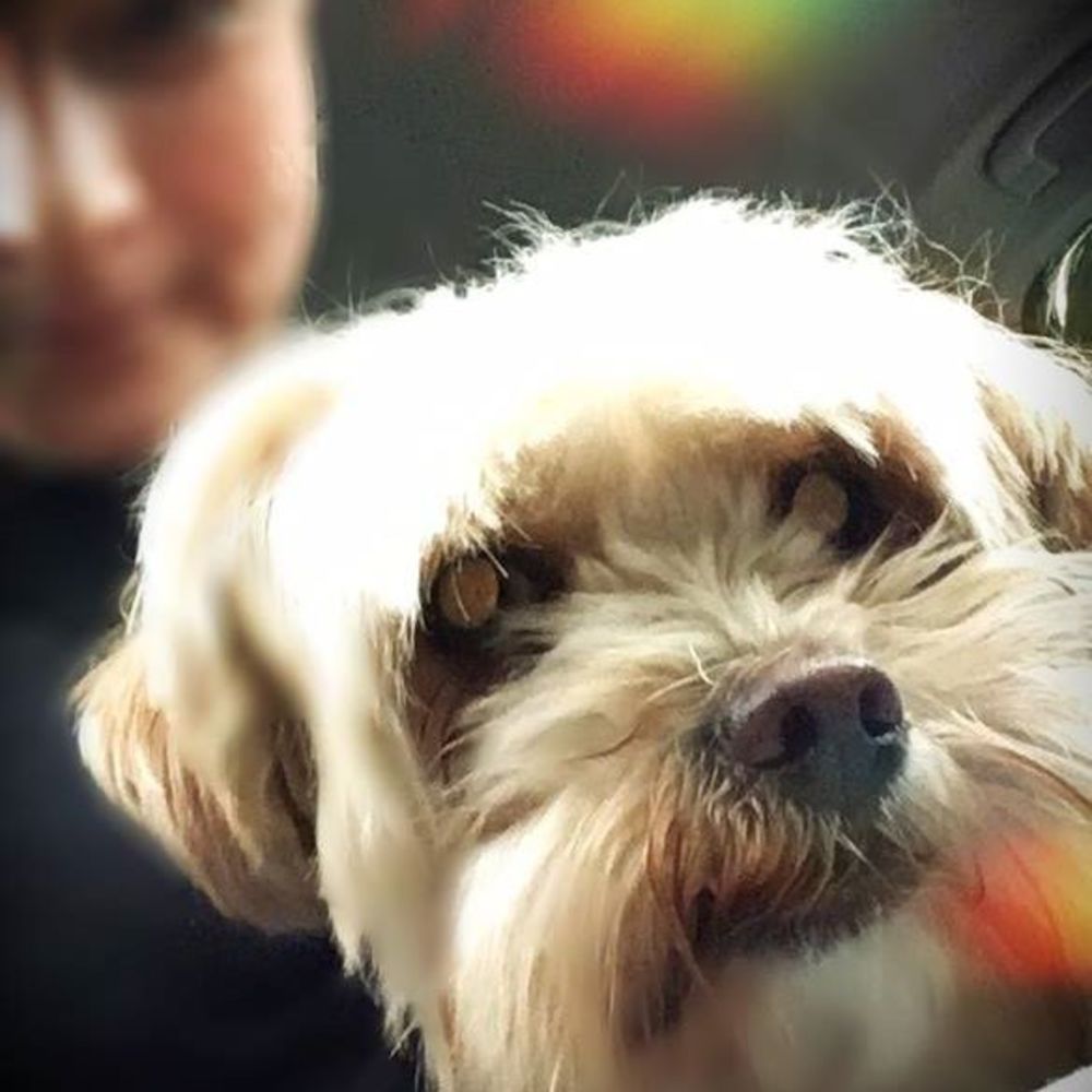 Meet your Posher, Sabrina