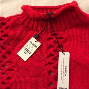 Express crop sweater