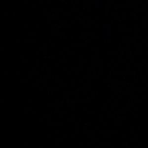 Meet your Posher, Dennis