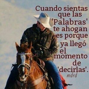 Meet your Posher, Francisco