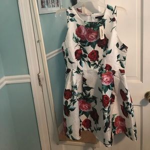 Rose print dress
