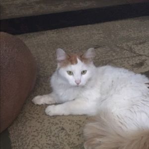 Meet your Posher, Candy