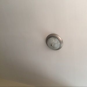 Meet your Posher, Daisy