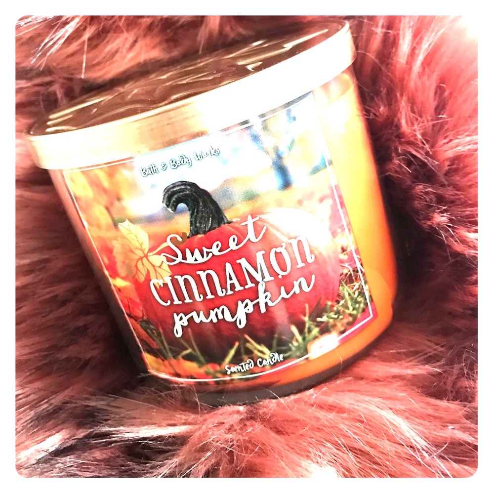 Sweet Cinnamon Pumpkin •SOLD OUT•