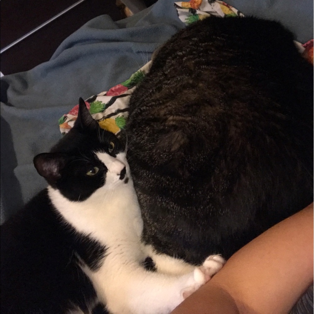 Meet your Posher, Teodora