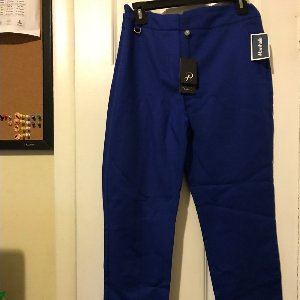 New Slim Fit Blue Trouser