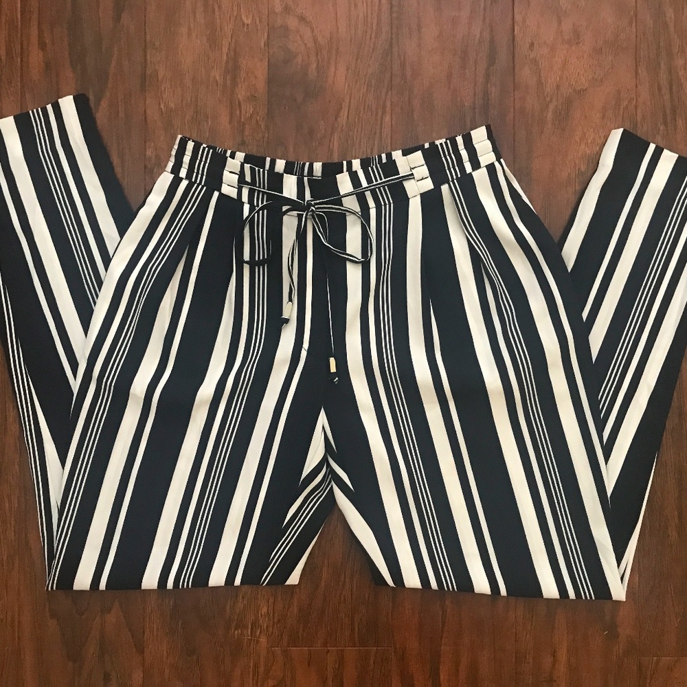 Zara Navy/White Pants