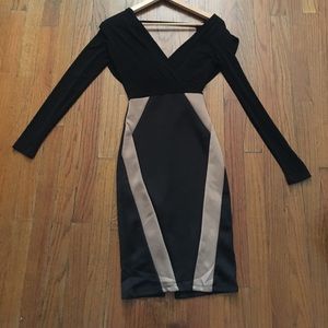 Long sleeve Dress | Bodycon