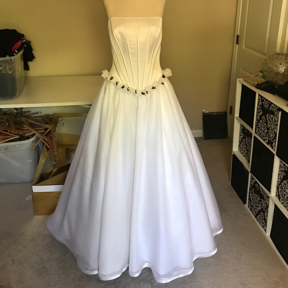 Ana Hernandez wedding gown