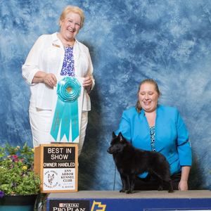 Meet your Posher, Jaime